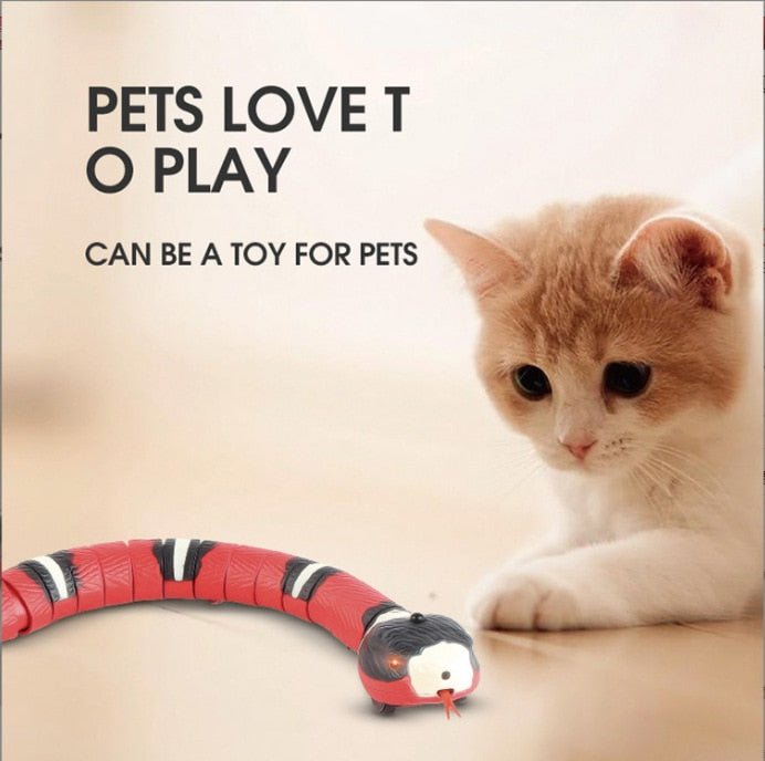 USB Charging Accessory For Pet Dogs
