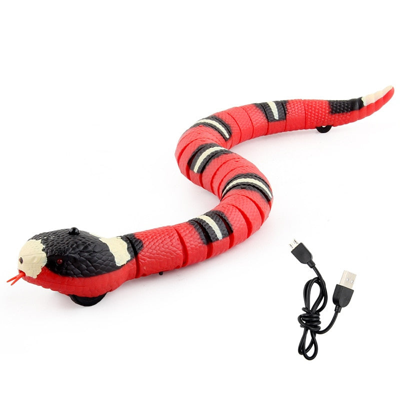 USB Charging Accessory For Pet Dogs